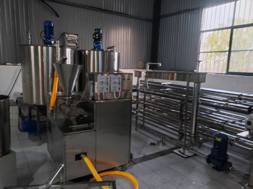 仿生智造領(lǐng)風(fēng)潮 2025年大荔縣大朝食品廠(chǎng)魔芋加工設(shè)備標(biāo)桿解析